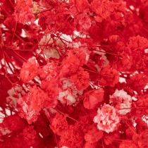 Produkt Suszony gips (Gypsophila) pęczek 75cm 100g
