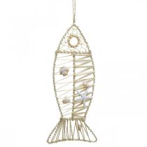 Morska ryba dekoracja z wikliny i muszli, wieszak dekoracyjny ryba forma natura 38cm
