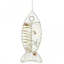 Deco Fish with Shell Deco, Maritime Deco, Fish to Hang White 38cm