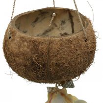Kokosowa miska z muszlami, naturalna miska do roślin, kokos jako wiszący kosz Ø13,5/11,5cm, zestaw 2