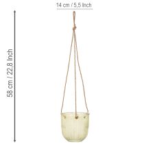 Produkt Doniczka szklana wisząca, dekoracyjna doniczka szklana, styl retro, zielono-brązowa, 14,5 cm, 2 sztuki