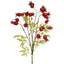 Produkt Gałązki ozdobne sztuczne z dzikiej róży z 7 owocami ciemnoczerwone 48cm