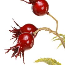 Produkt Gałązki ozdobne sztuczne z dzikiej róży z 7 owocami ciemnoczerwone 48cm