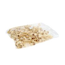 Produkt Hakea średnia 5-9 główek na gałązkę bielona 25 szt