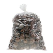 Produkt Szyszki Halepensis naturalne 5kg