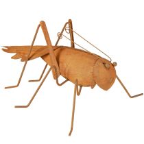 Produkt Dekoracja ogrodowa Grasshopper Metalowa dekoracja w kolorze rdzy do postawienia 26cm