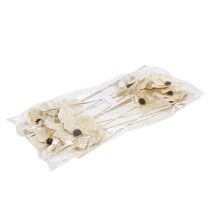 Produkt Kwiatek drewniany jako zatyczka, bielony Ø9-12cm L45cm 15 sztuk