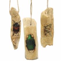 Zawieszka dekoracyjna owady drewno 9-13cm 36szt