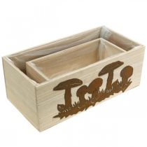 Produkt Zestaw donic, drewniane skrzynki z grzybami, dekoracja jesienna patyna L40/30cm kpl 2 szt