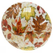 Produkt Drewniane grzyby dekoracyjne jesienne liście biała, kolorowa jesienna dekoracja Ø13cm W19cm