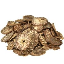 Produkt Drewniane krążki dekoracyjne z orzechów betelowych, plasterki areki 1-3,5 cm 300 g