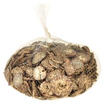 Produkt Drewniane plastry, ozdobne owoce drzewne, naturalne, DIY, FSC, 1-3,5 cm, 300 g