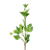 Produkt Gałąź chmielu 70cm zielona 2 sztuki sztuczna roślina