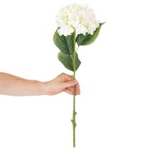 Produkt Sztuczna hortensja na długiej łodydze, sztuczny kwiat, 60 cm