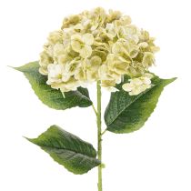 Produkt Sztuczny kwiat hortensji z długą łodygą i liśćmi, 60 cm