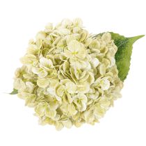 Produkt Sztuczny kwiat hortensji z długą łodygą i liśćmi, 60 cm