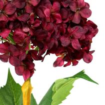 Produkt Hortensja sztuczna ciemnoczerwona 80cm 1 szt