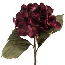 Produkt Hortensja kwiaty sztuczne Bordeaux 52cm