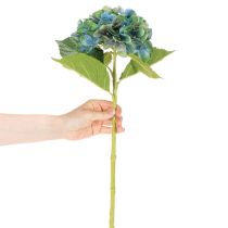 Produkt Sztuczny kwiat hortensji, niebiesko-zielony, dekoracyjny, pojedynczy pęd, 53 cm