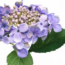 Produkt Hortensja dekoracyjna, kwiat jedwabiu, sztuczna roślina fioletowa L44cm