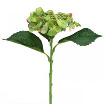 Sztuczna hortensja, dekoracja kwiatowa, kwiat jedwabiu zielony L44cm