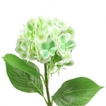 Produkt Hortensja sztuczna zielona, biała 68cm