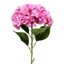 Hortensja Maxi różowa Ø30cm L113cm
