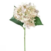 Produkt Hortensja sztuczna kremowa, kwiat ogrodowy z pąkami 52cm