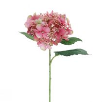 Produkt Hortensja sztuczny różowo-zielony kwiat ogrodowy z pąkami 52cm
