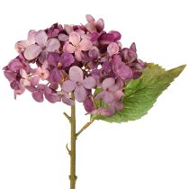Produkt Sztuczne Hortensje Fioletowe Sztuczne Kwiaty Hortensja 34 cm 2 szt.
