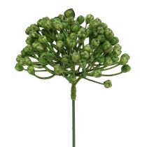 Produkt Hydrangea Bud Pick 22cm Green 12szt