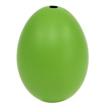 Produkt Jajka kurze 5,5cm - 7cm zielone 10 szt