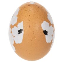 Produkt Ozdoba wisząca w kształcie jajka wielkanocnego, wiosna, Wielkanoc, prawdziwe kurze jaja, naturalne, 6 cm, 6 sztuk