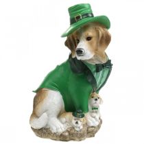 Produkt Beagle w kapeluszu Dzień Św. Patryka Pies w garniturze Garden Decor Hound H24,5cm