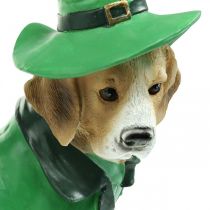 Beagle w kapeluszu Dzień Św. Patryka Pies w garniturze Garden Decor Hound H24,5cm