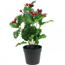 Ostrokrzew w doniczce sztuczne rośliny Ilex sztuczny 26cm