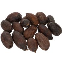 Produkt Owoce kakaowca naturalne 10-18 cm 15 sztuk