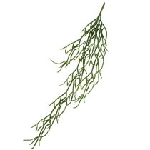Kaktus Wieszak 115cm Zielony