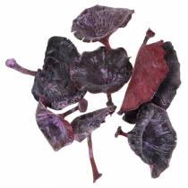 Produkt Kalix Mushroom Purple, White Washed 100 szt.