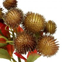 Chestnut Pick Brown 32cm