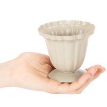 Produkt Miska dekoracyjna, trofeum kremowe, mała, 10 cm
