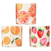 Produkt Świece zewnętrzne Ceramiczne Doniczki Citronella Fruit H7cm 3szt