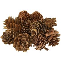 Produkt Szyszki naturalne, szyszki ozdobne, drobne, siateczka 2,5-3,5cm, 300g