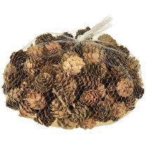 Produkt Szyszki naturalne, szyszki ozdobne, drobne, siateczka 2,5-3,5cm, 300g