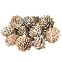 Produkt Szyszki sosnowe bielone, dekoracja z małych szyszek w siatce, 2,5-3,5 cm, 500 g