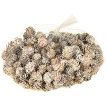 Produkt Szyszki sosnowe bielone, dekoracja z małych szyszek w siatce, 2,5-3,5 cm, 500 g
