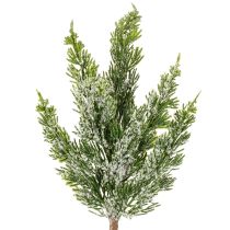 Produkt Sztucznie ośnieżona gałązka sosnowa do kompozycji kwiatowych i dekoracji adwentowych, 40 cm, 3 sztuki