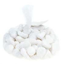 Produkt Kamyczki w siatce Białe 2,5cm - 4cm 1kg