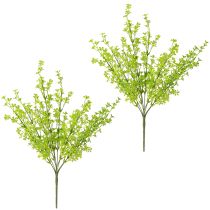 Produkt Koniczyna Dwarf Clover Sztuczne Rośliny w Zieleni na Koku 49cm 2szt