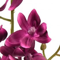 Produkt Mały storczyk Phalaenopsis sztuczny kwiat Fuchisa 30cm